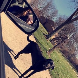 Meet your Posher, Avery